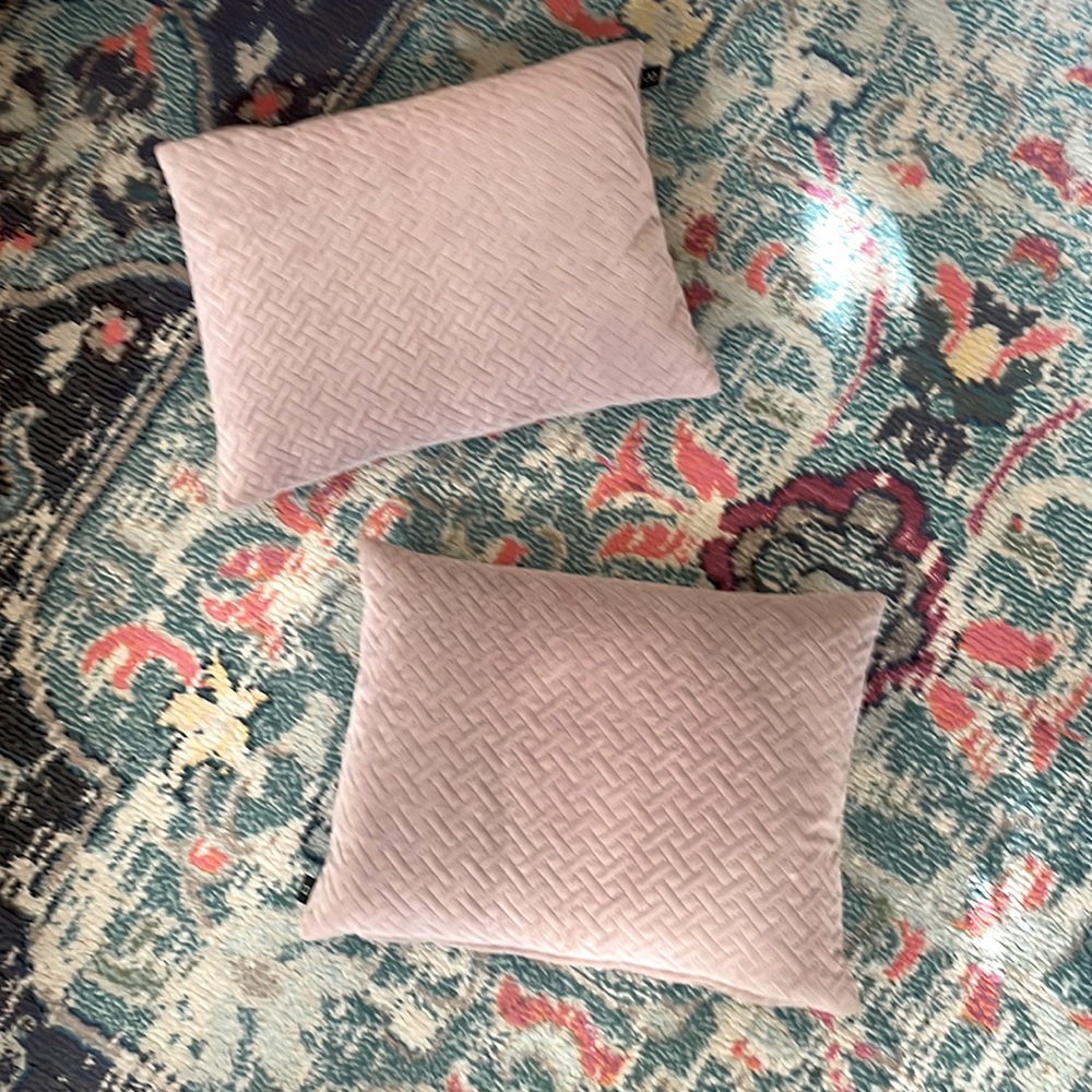 2 matching Eight Mood throw pillows! Goose down!